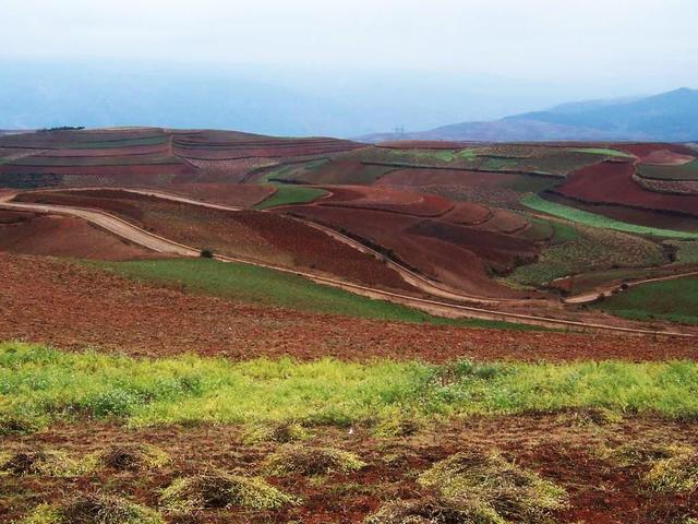 Terraced Rice Fields