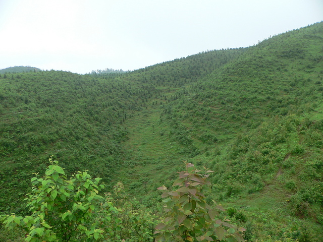 Looking south (from the hilltop 55 metres south of the confluence).