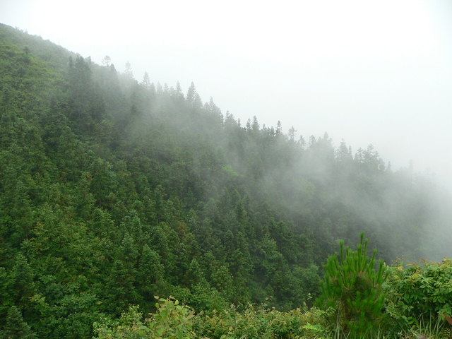 Looking west (from the hilltop 55 metres south of the confluence).