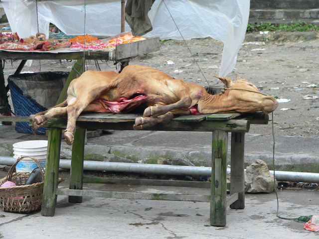 Freshly slaughtered calf for sale on the main road in Dàtáng.