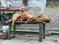 #3: Freshly slaughtered calf for sale on the main road in Dàtáng.