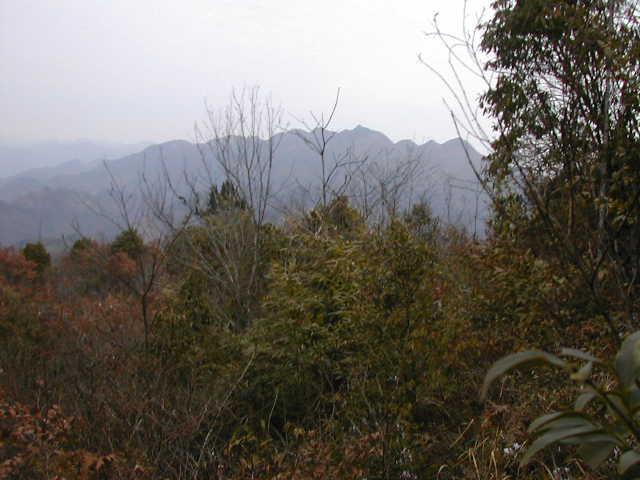 View from the Confluence to the East