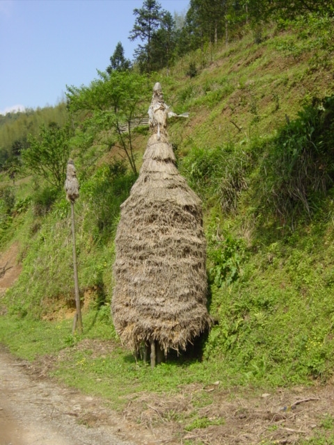 All the haystacks in this area were of a very distinctive style.