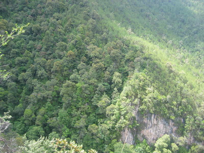 The Confluence from 190 m