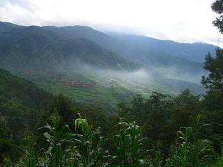 #1: View of the area standing only a few meters from the confluence.