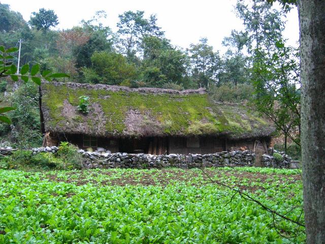 A Farmhouse Nearby