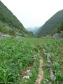 #5: Path through the hills towards the confluence.