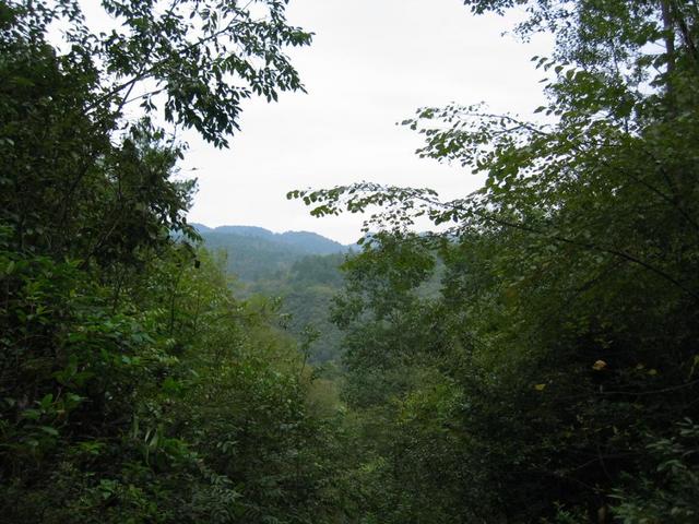 The Confluence - View to the West