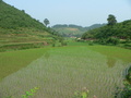 #3: Looking down a valley in the direction of the confluence, 1.75 kilometres to the NW.