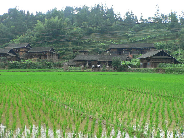 Old wooden houses sporting satellite dishes.