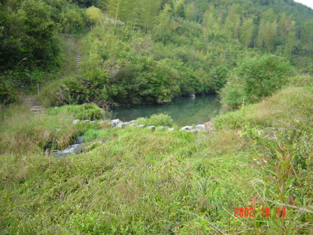 Pretty valley, featuring a partially dammed creek with stepping stones, and a small temple, the roof of which is just visible.