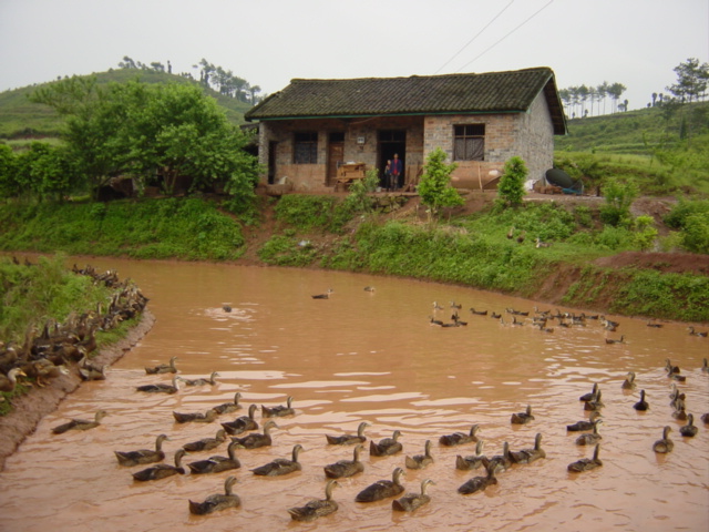 Looking east across the duck pond to the confluence, which is right at the front door of the house