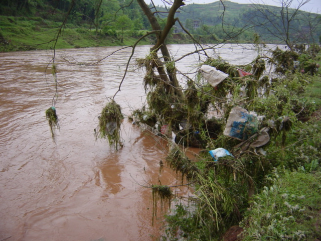 Evidence of recent flooding, with all manner of rubbish caught up in the branches of trees, and the trees themselves still partially submerged in the swollen muddy waters of the river