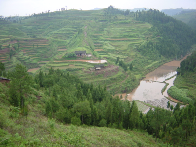 View from 210 metres northwest of the confluence, which is located at the farmhouse on the opposite side of the valley