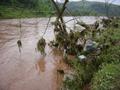 #2: Evidence of recent flooding, with all manner of rubbish caught up in the branches of trees, and the trees themselves still partially submerged in the swollen muddy waters of the river