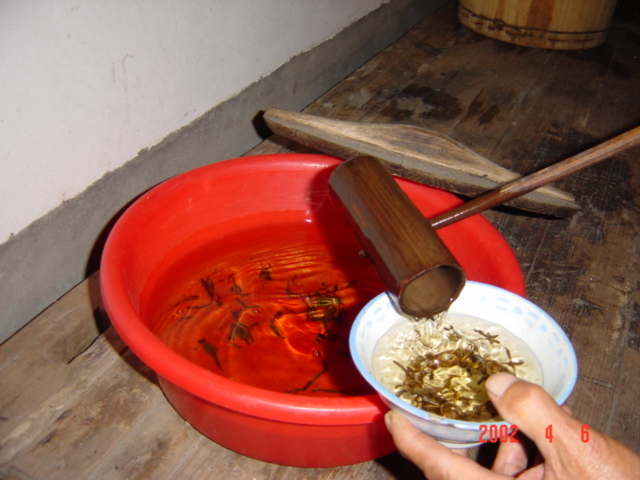 Tea at the temple