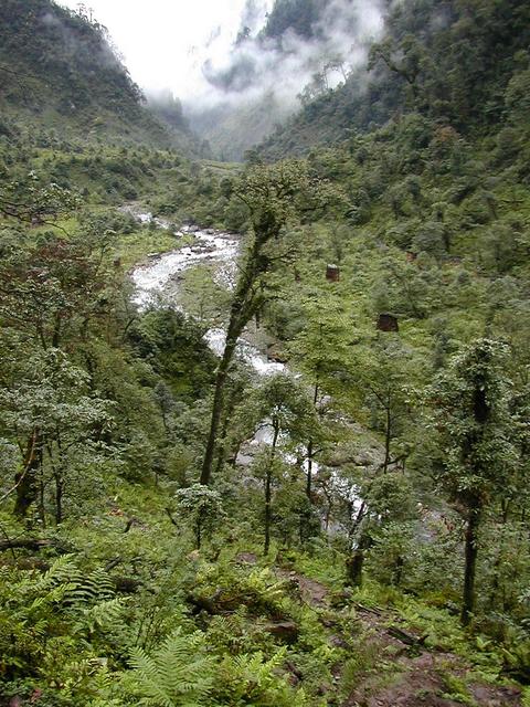 Area of the confluence, just 3.98 km further on