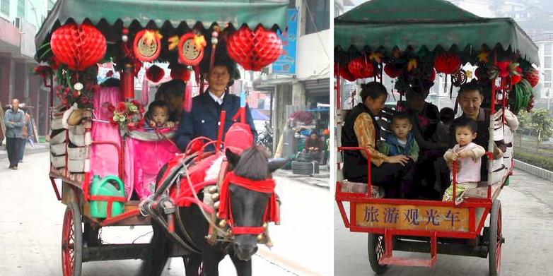 Horse drawn tourist cart in Ebian