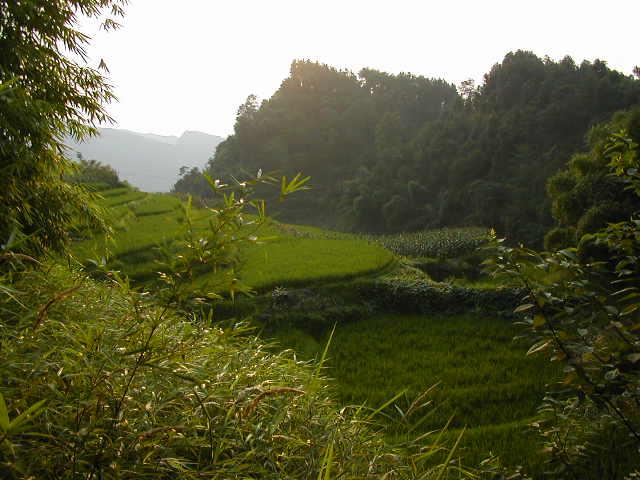 View from the confluence looking South