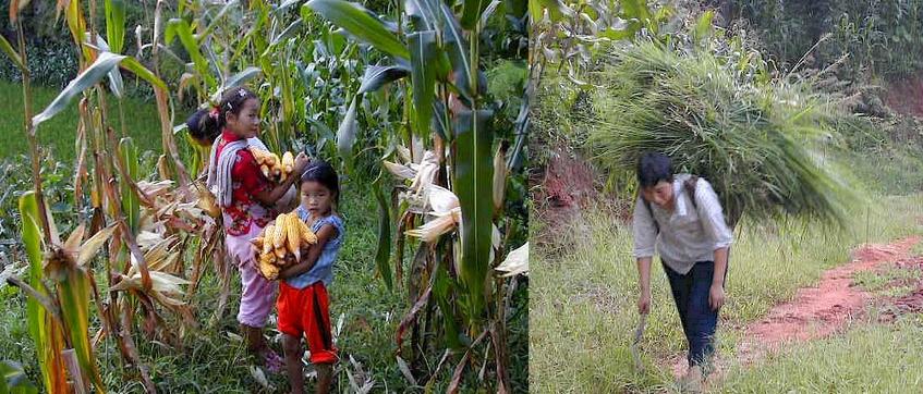 Corn Kids and Hay Lady