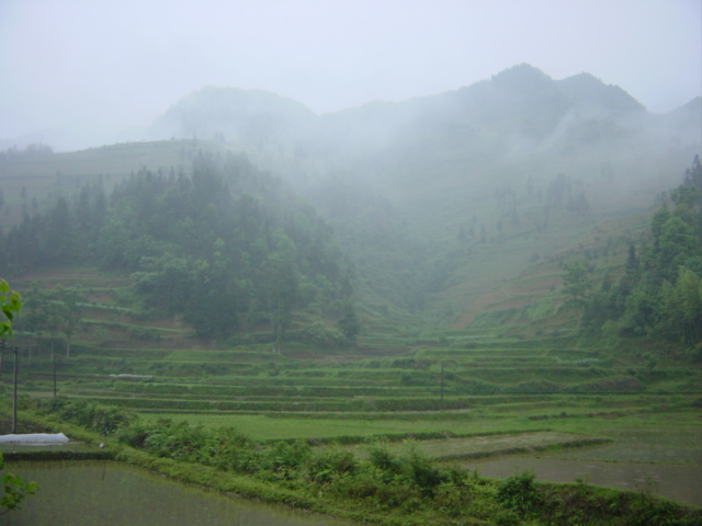 View of the misty mountains in which the confluence is located, 750 metres to the east