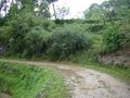 #5: Confluence situated up on the bank, in the middle of the photo, just six metres from the road