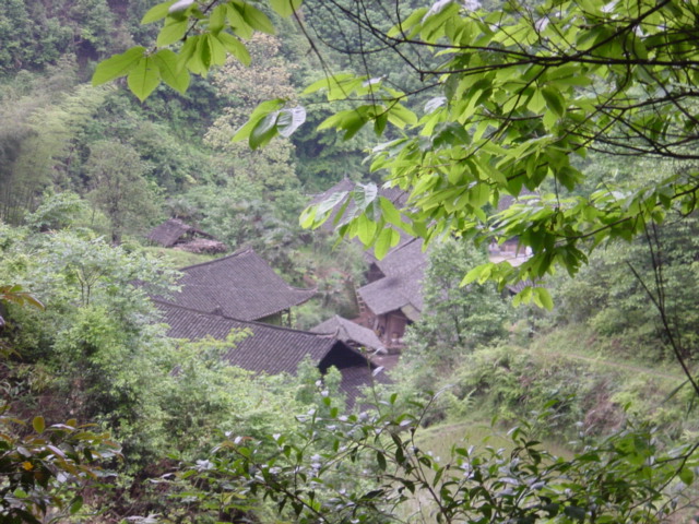 Tiny village near confluence, beautifully nestled amongst the trees of a heavily wooded valley