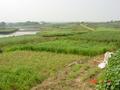 #5: Facing south - view from front of farmhouse