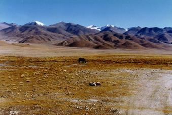 #1: Confluence is 28 km over these mountains.