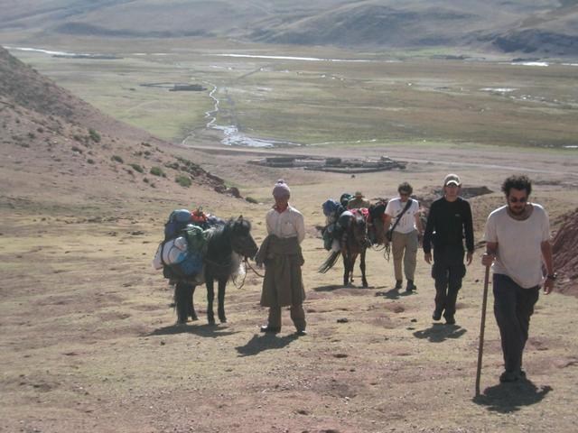 A fresh start.  Heading off from the farm. Suodao (left), Chief, Shay, Raz (front to back)