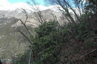 #1: Confluence point on a steep slope and looking toward North