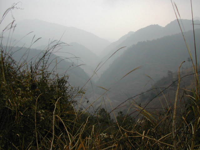 Nearby the Confluence Point looking East