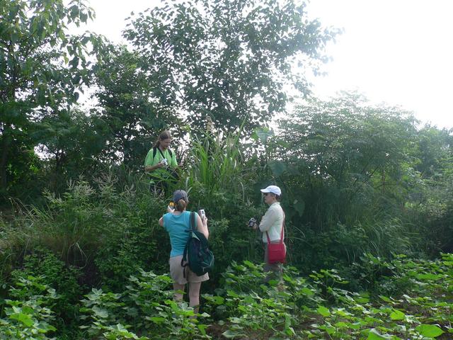 Targ at confluence with Sasha & Carmen supervising.