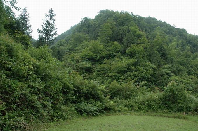 General View - "Tiger Hunting Mountain" from west