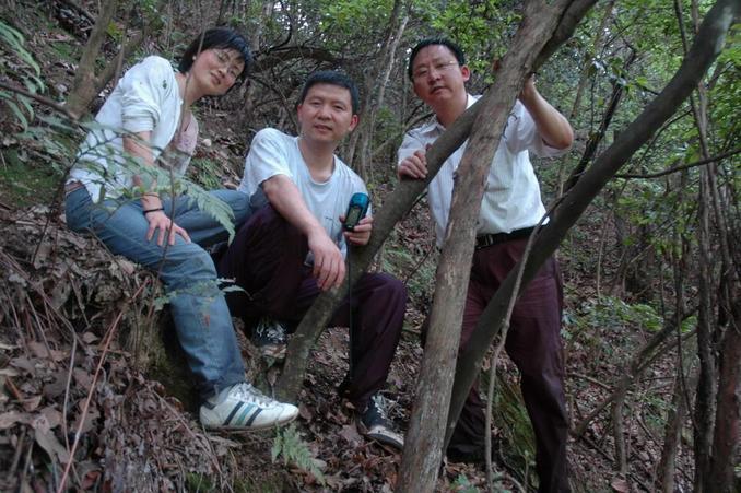 Xiaoyu, Button and Du handing on the trees within the conference range