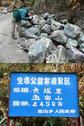 #6: A picture of Tim taking a picture of the coloured quartz from the mines. The signpost marking where the path departs the dirt road.