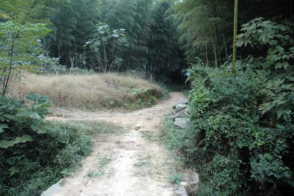 View to South. (To village)