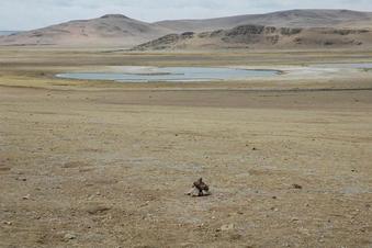 #1: General view toward the west - Confluence point marked by the carin