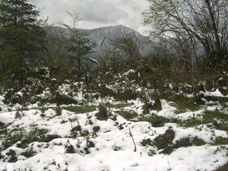 #1: This snowy area was as close as we got to the confluence, about 8km away.  The horses were about a 15 minute hike down from here.