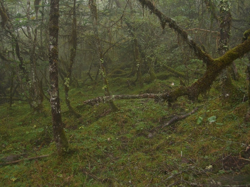 View from the well-travelled trail.