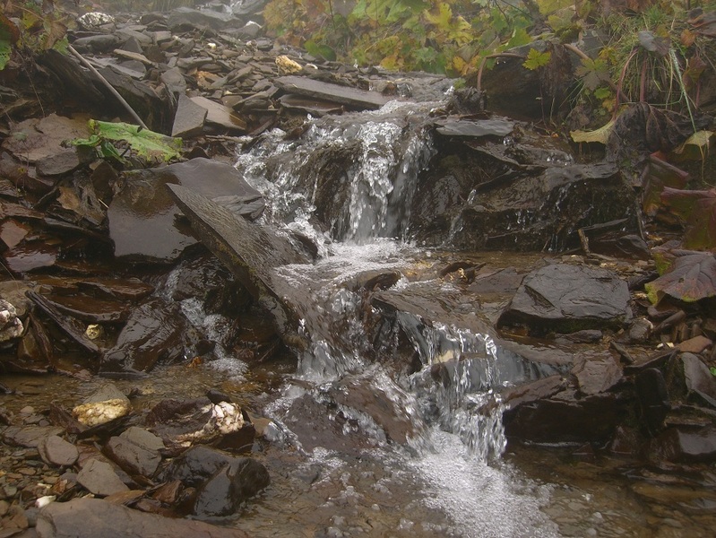 A stream next to our tent.