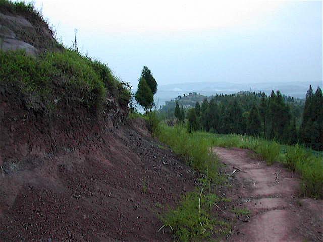 Looking North from the confluence