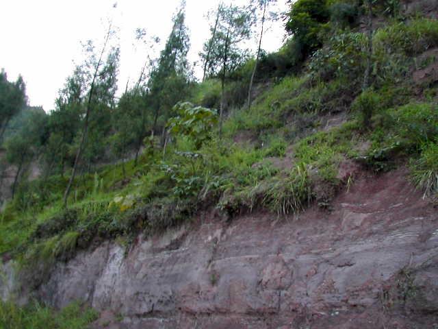 Looking West from the confluence