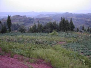 #1: Looking East from the confluence