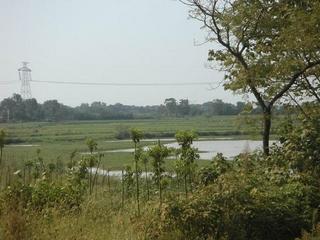 #1: Looking North from the confluence point