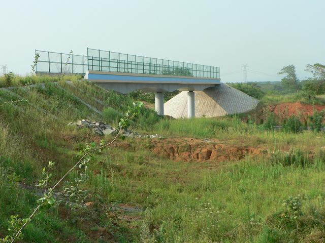 The new overpass, with the confluence just on the other side.