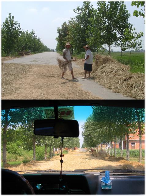 Rice threshing along the country roads