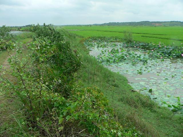 Looking north.