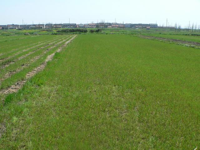 Facing south, towards the village of Silian