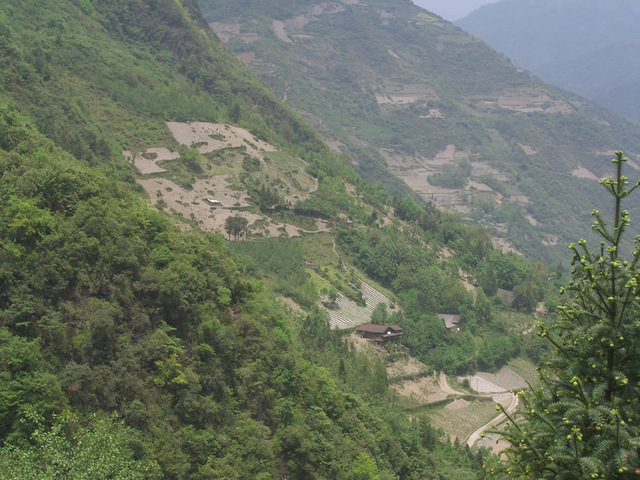 View of the valley in which the confluence lies.  Picture taken very close to confluence point.